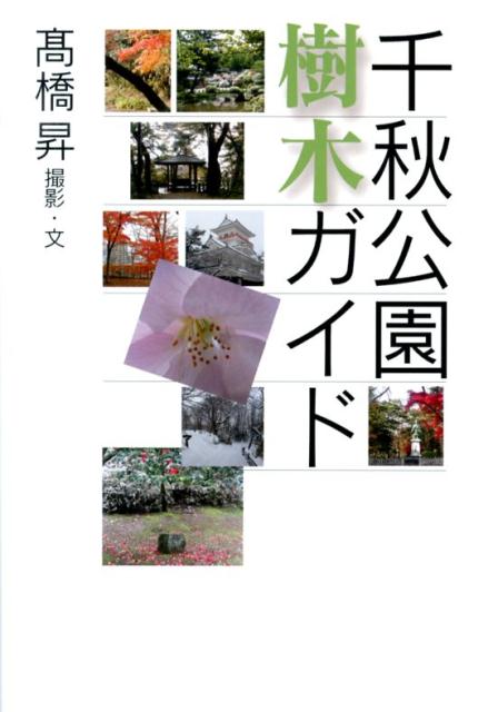 千秋公園樹木ガイド