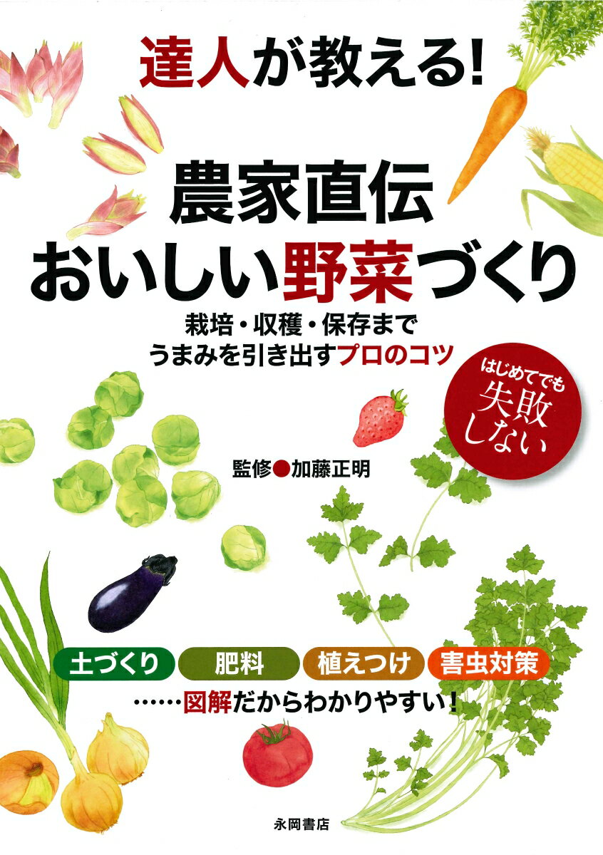 達人が教える！農家直伝おいしい野菜づくり 栽培・収穫・保存までうまみを引き出すプロのコツ [ 加藤正明 ]