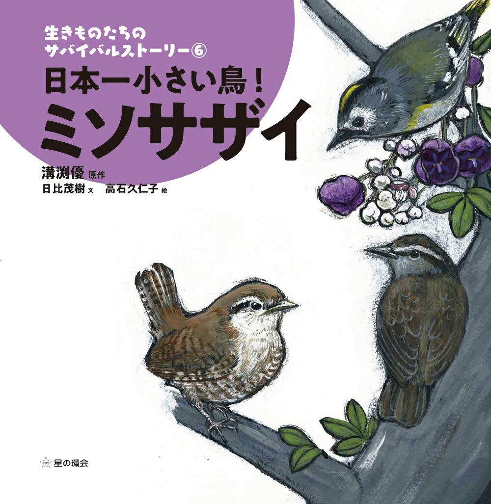 日本一小さい鳥！ミソサザイ