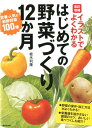 イラストでよくわかる　改訂増補　はじめての野菜づくり12か月 [ 板木利隆 ]