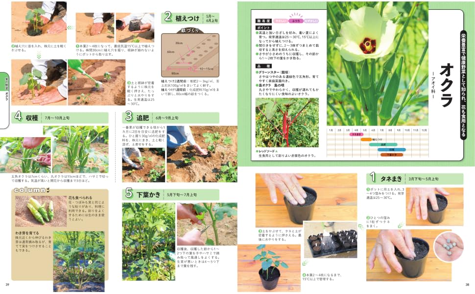 �Ϥ���Ƥ���ڤŤ�����޴�131�� [ �̾���� ]