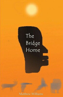 The Bridge Home: Volume 1 BRIDGE HOME [ Matthew Williams ]