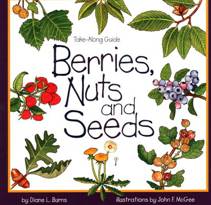 Describes a variety of berries, nuts, and seeds that might be found on a nature walk and includes identification information.Invites young naturalists to spot wildlife. Safety tips are provided and interesting activities are sugested. Color illustrations enhance the presentation. ---HORN BOOKS (Tracks, Scats and Signs)