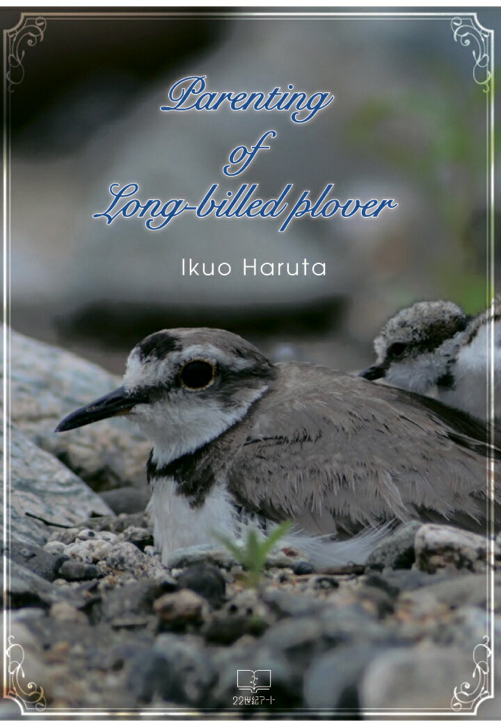 【POD】Parenting of Long-billed plover Ikuo Haruta