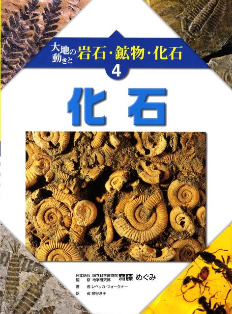 大地の動きと岩石・鉱物・化石（4）