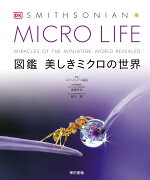 MICRO LIFE　図鑑 美しきミクロの世界