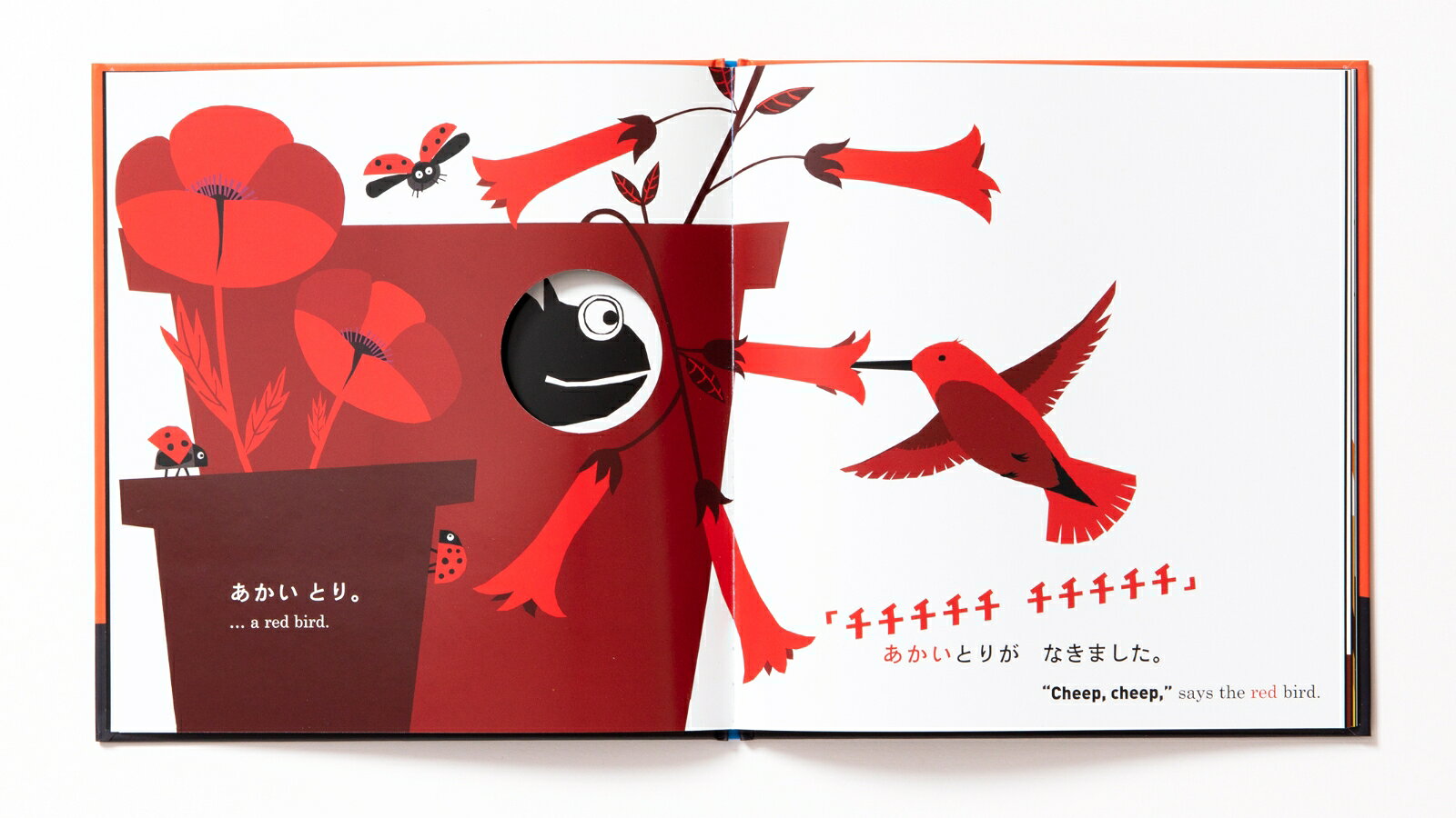 カメレオンくん きみのいろにへ～んしん！ [ アニータ・ビスタボシュ ]