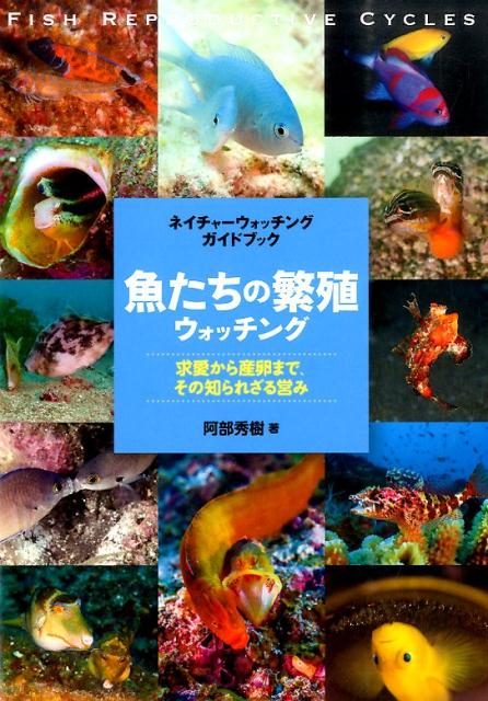 魚たちの繁殖ウォッチング