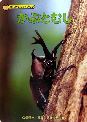 かぶとむし