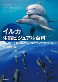 イルカ生態ビジュアル百科 謎に満ちた暮らしから、ウォッチングガイドまでの表紙