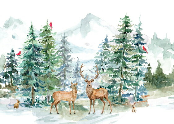 Winter Wonderland Deluxe Boxed Holiday Cards (20 Cards, 21 Self-Sealing Envelopes) WINTER WONDERLAND DLX BOXED HO [ ー ]
