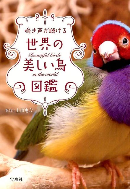 鳴き声が聴ける世界の美しい鳥図鑑 [ 上田恵介 ]