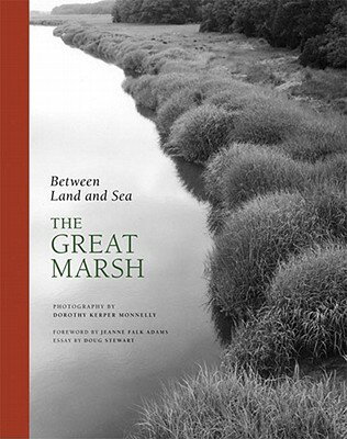 Between Land and Sea: The Great Marsh BETWEEN LAND & SEA THE GRT MAR [ Doug Stewart ]