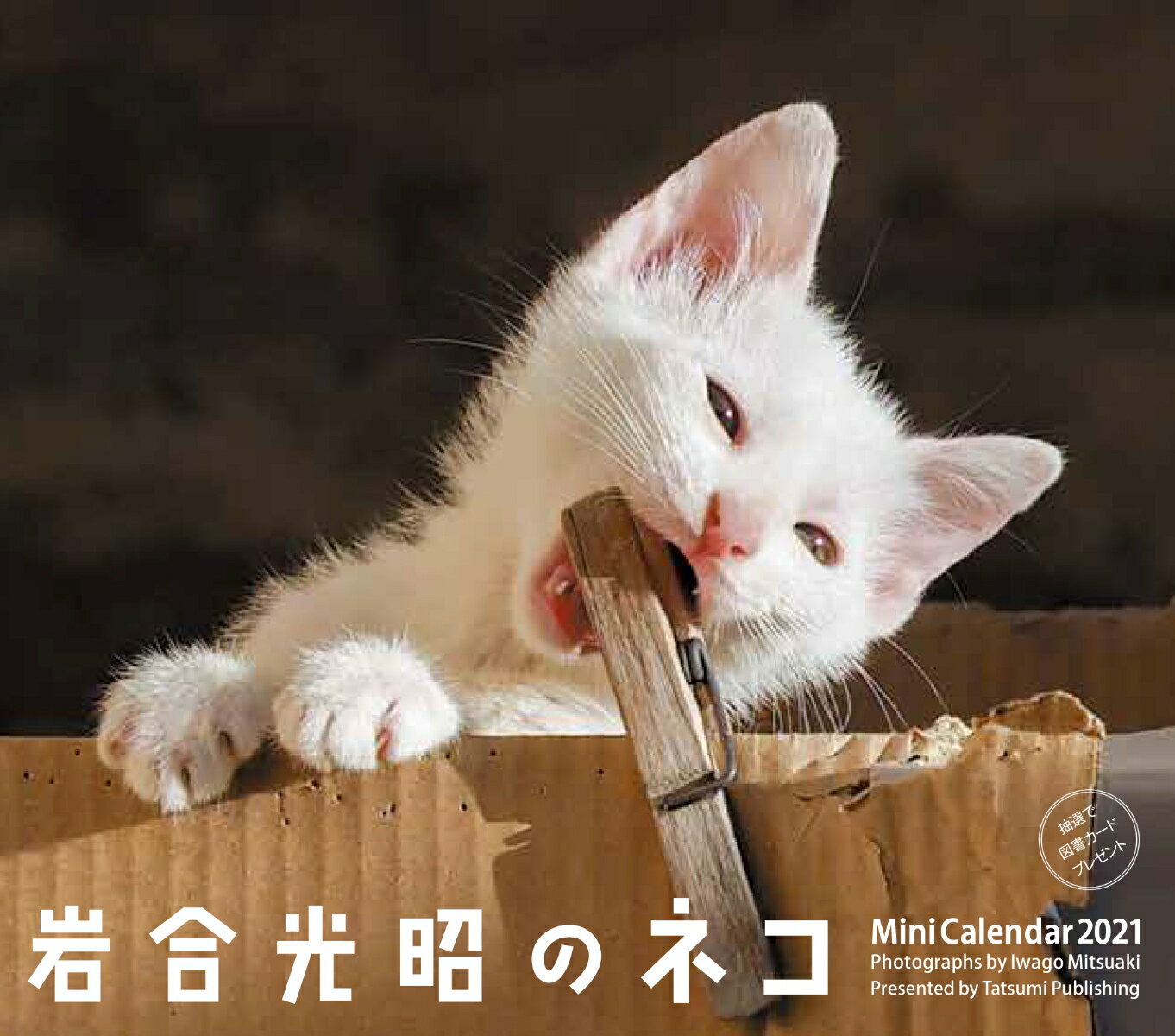 2021ミニカレンダー　岩合光昭のネコ