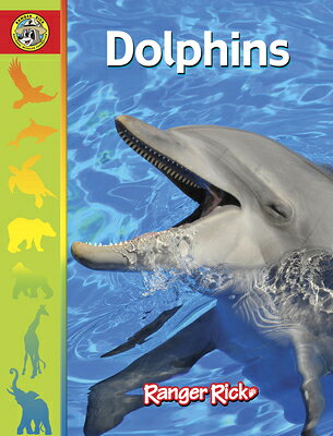 Dolphins DOLPHINS （Zootles） 
