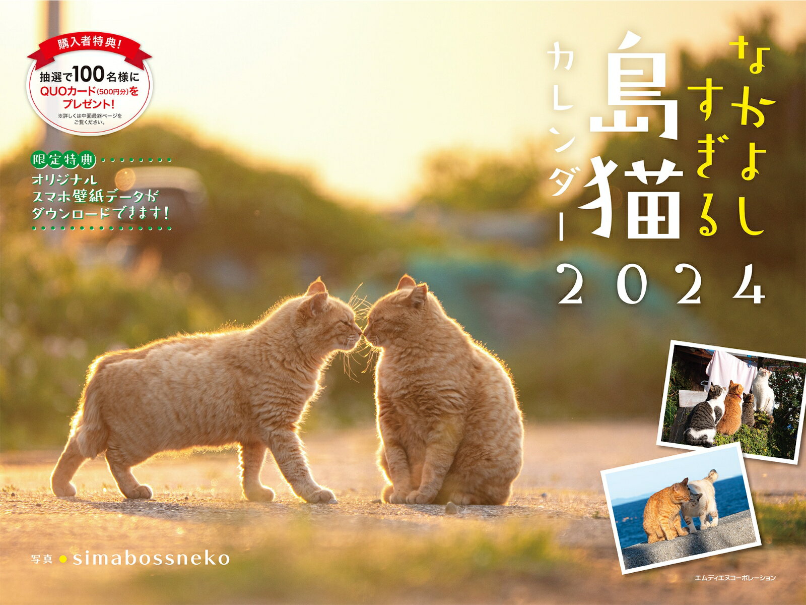 なかよしすぎる島猫カレンダー（2024） （［カレンダー］）