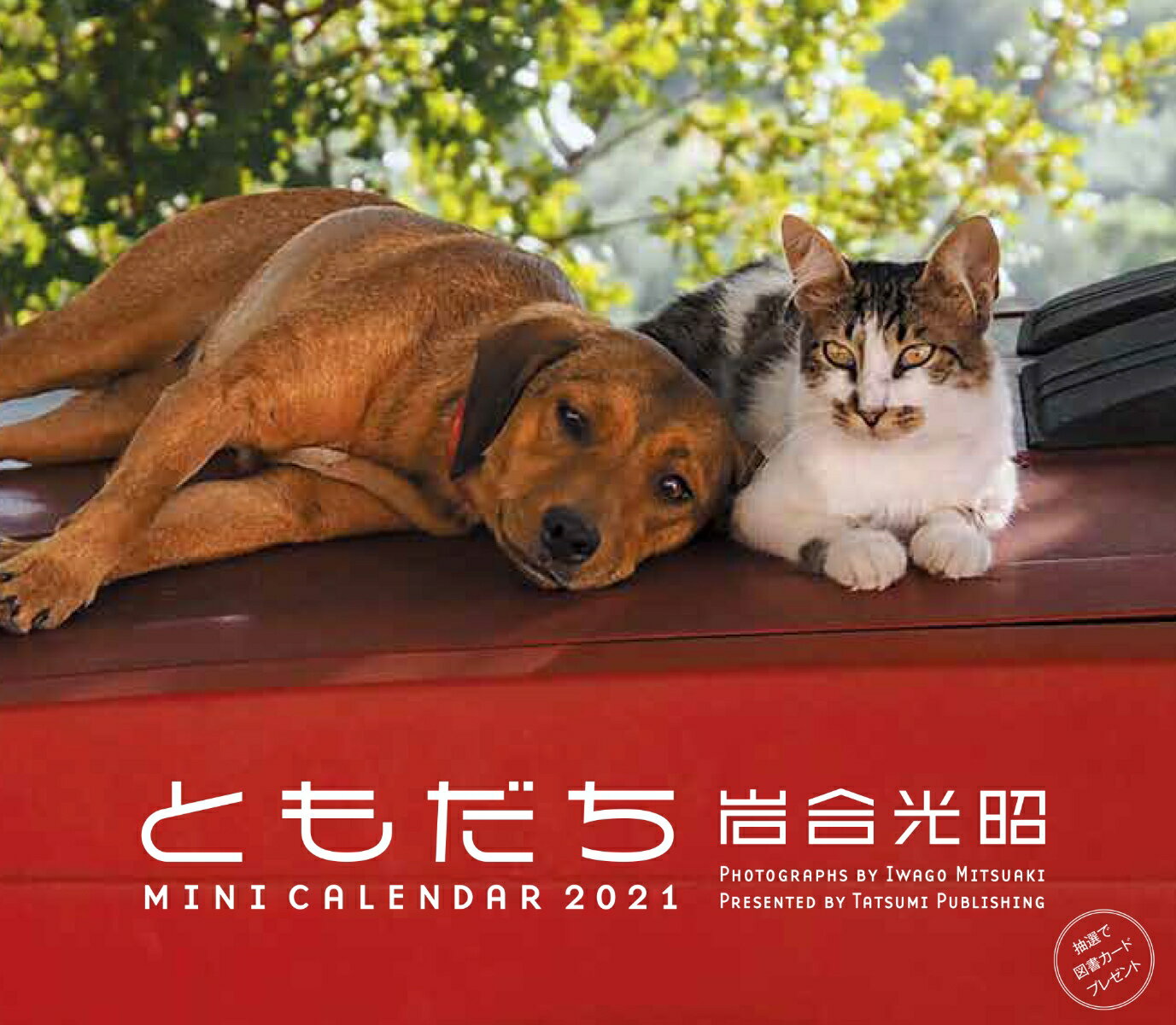 2021ミニカレンダー　岩合光昭　ともだち