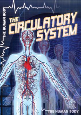 The Circulatory System CIRCULATORY SYSTEM （Human Body） 