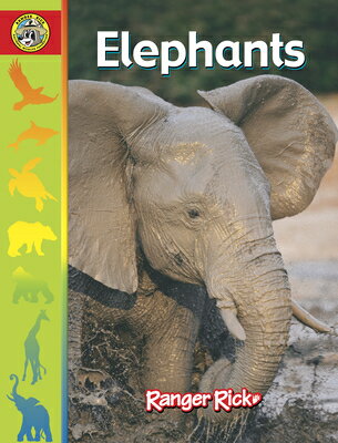 Elephants ELEPHANTS （Zootles） [ Susan Yoder Ackerman ]