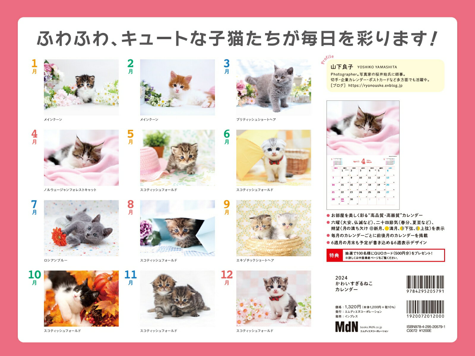 かわいすぎるねこカレンダー（2024） （［カレンダー］） 3