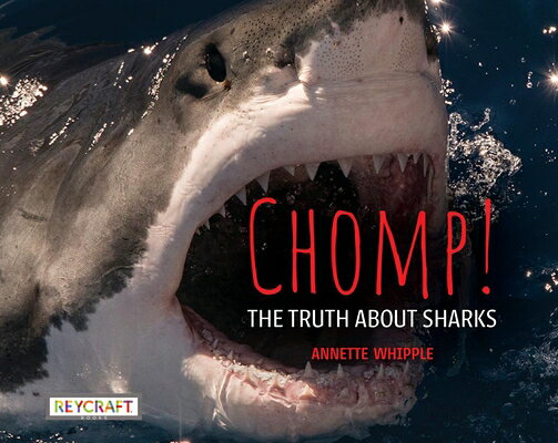 CHOMP THE TRUTH ABT SHARKS Annette Whipple Juanbjuan Oliver REYCRAFT BOOKS2024 Paperback English ISBN：9781478885795 洋書 Books for kids（児童書） Juvenile Nonfiction