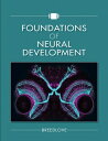 Foundations of Neural Development FOUNDATIONS OF NEURAL DEVELOPM 