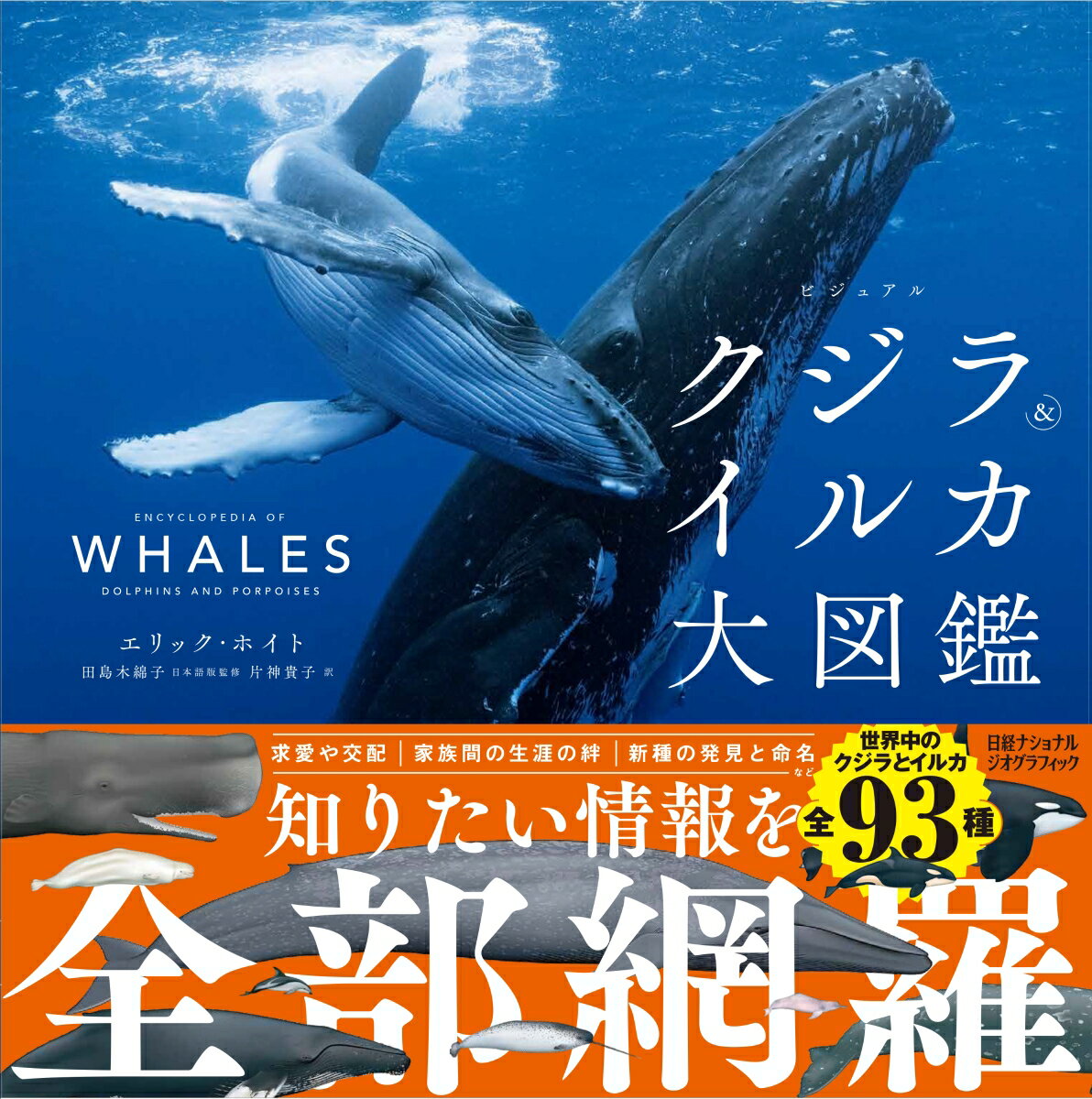 ビジュアル　クジラ＆イルカ大図鑑 [ ナショナル ジオグラフィック ]