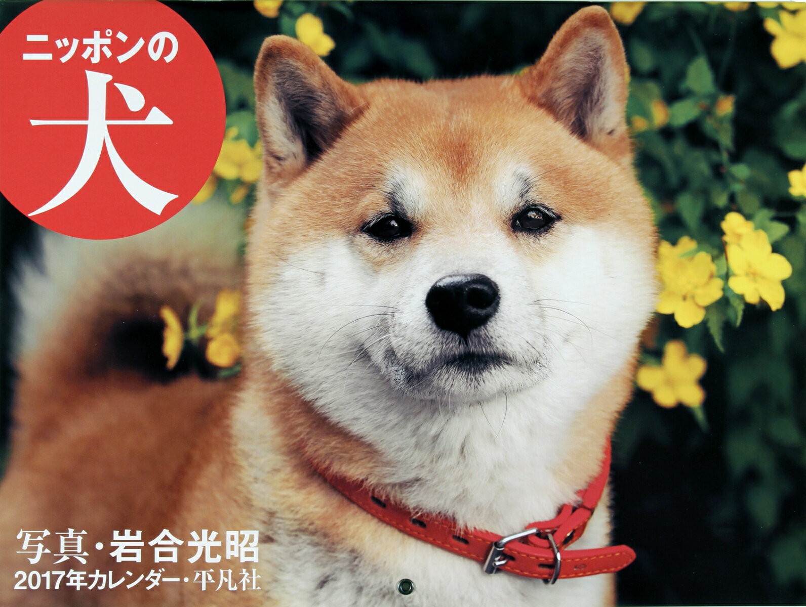 【壁掛】2017年カレンダー　ニッポンの犬