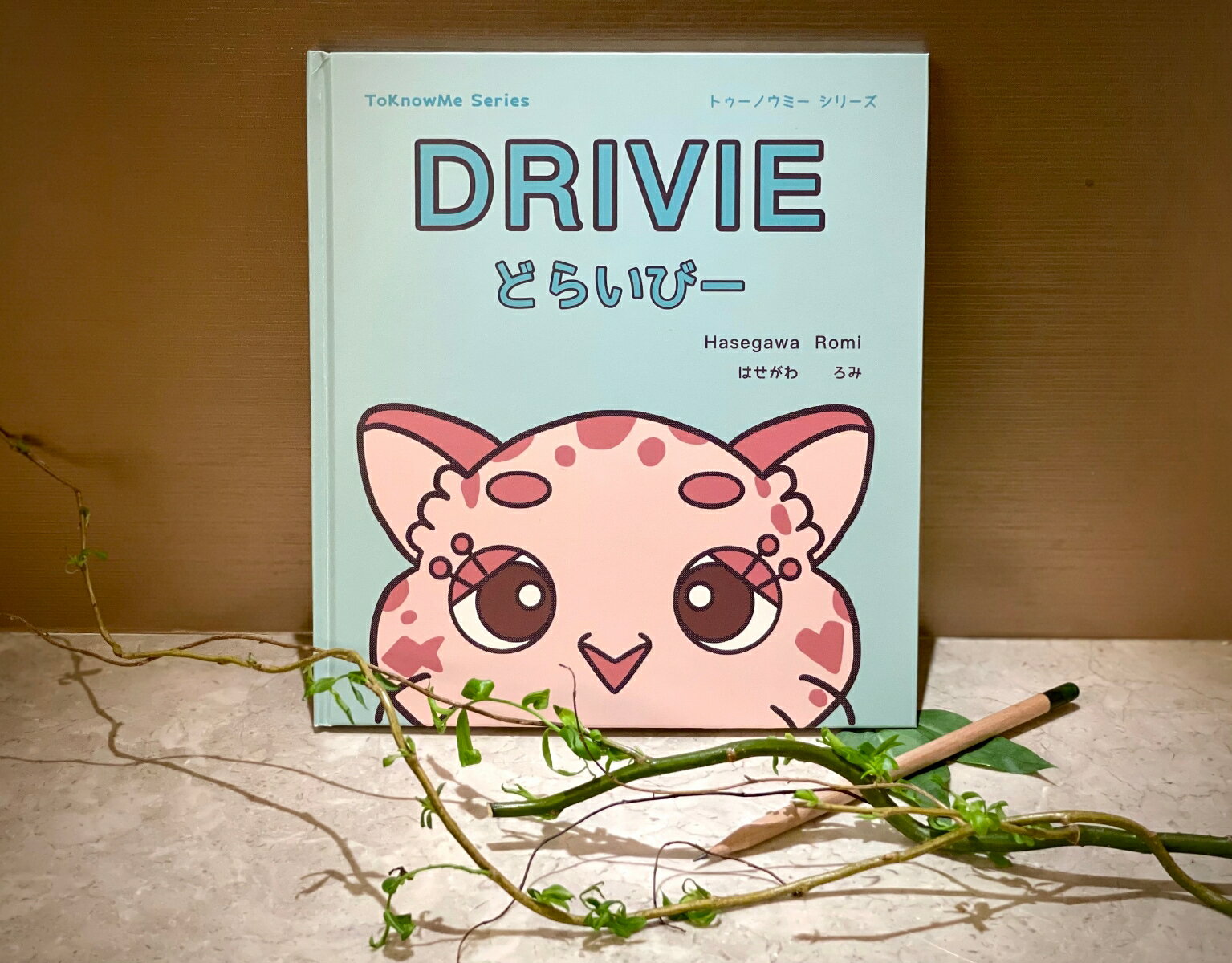 DRIVIE どらいびー