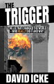 The author looks at who was really behind the 9/11 attacks and why, what has happened in the years following 9/11, and the increasing evidence to show the official story doesn't stand up to research and what has happened in the world since that day.