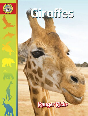 Giraffes GIRAFFES （Zootles） 