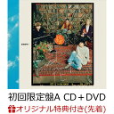 【楽天ブックス限定先着特典】沈丁花 (初回限定盤A CD＋DVD)(コンパクトミラー) [ DISH ...