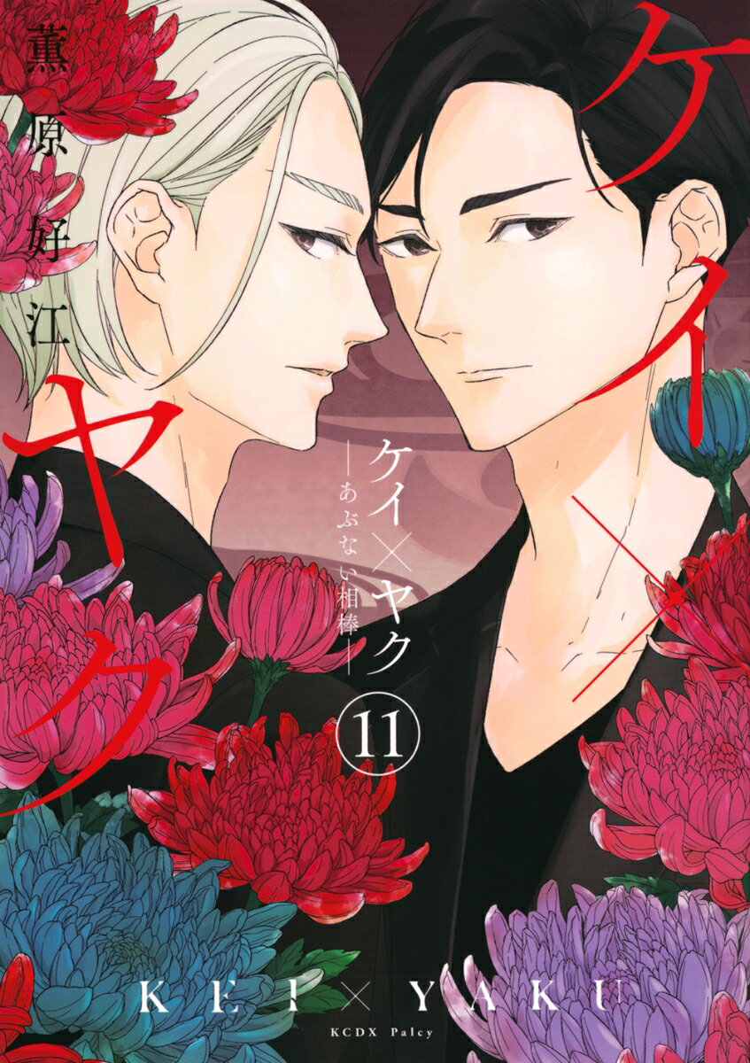 ケイ×ヤク　-あぶない相棒ー 11巻
