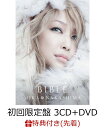 【先着特典】雪の華15周年記念ベスト盤 BIBLE (初回限定盤 3CD＋DVD) (ポスターF付き) [ 中島美嘉 ]