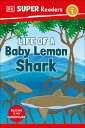 DK Super Readers Level 1 Life of a Baby Lemon Shark DK SUPER READERS LEVEL 1 LIFE （DK Super Readers） DK