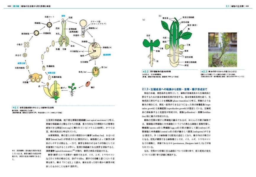 エッセンシャル植物生理学　農学系のための基礎 （KS農学専門書） [ 牧野 周 ] 3