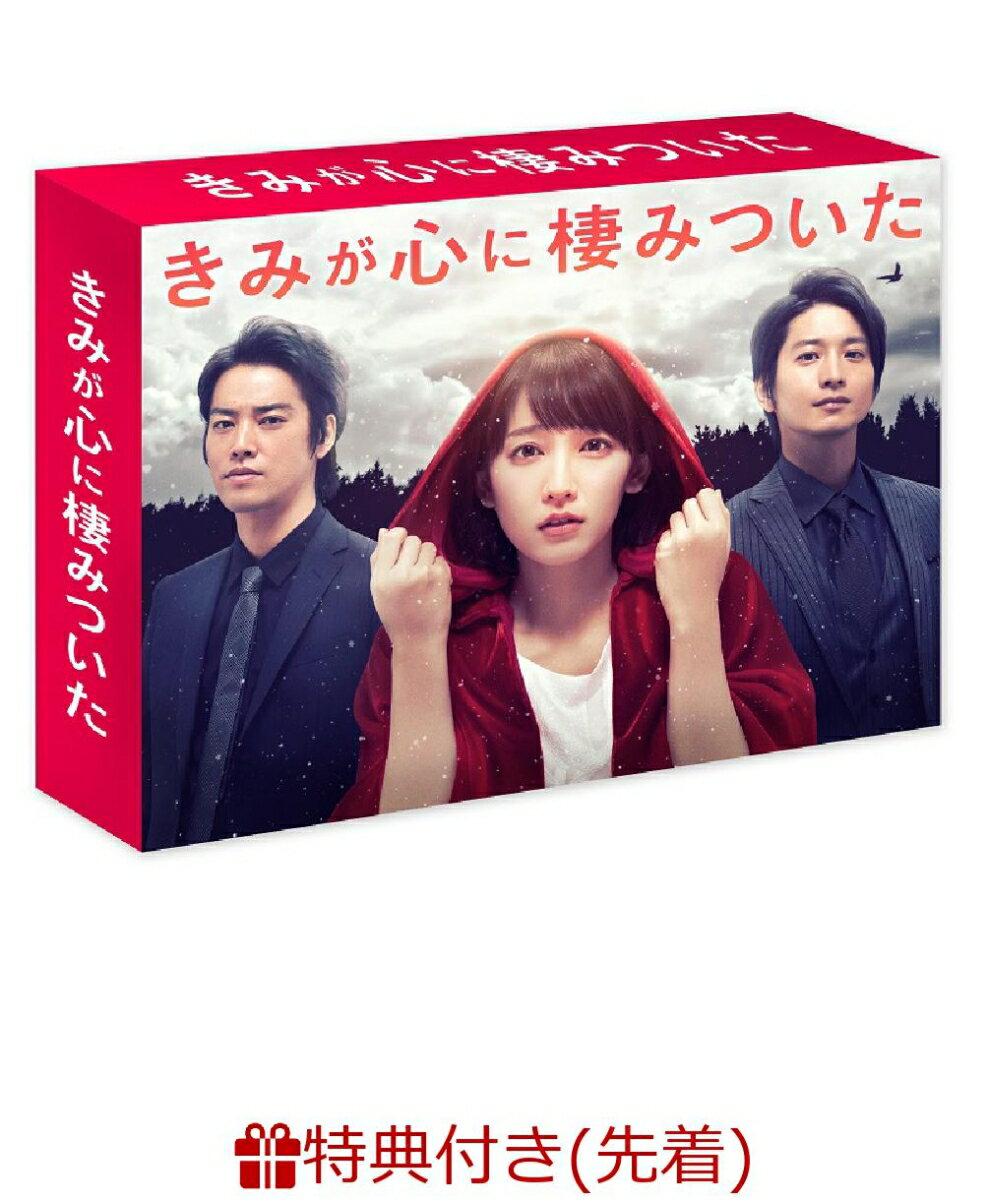 【先着特典】きみが心に棲みついた DVD-BOX(B6クリアファイル付き)