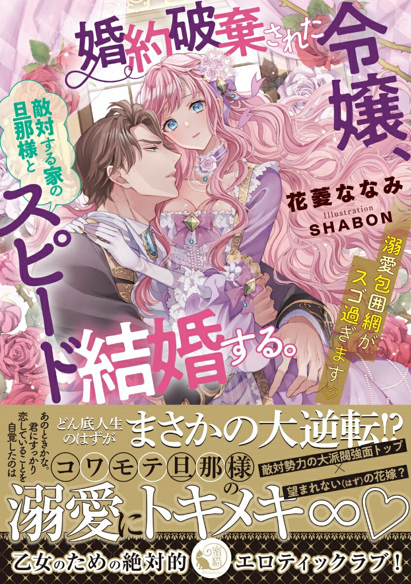 婚約破棄された令嬢、敵対する家の旦那様とスピード結婚する。　溺愛包囲網がスゴ過ぎます