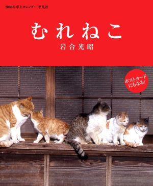 むれねこ（2008）