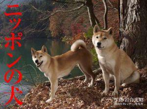 ニッポンの犬カレンダー（2009）