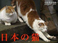 日本の猫カレンダー（2009）