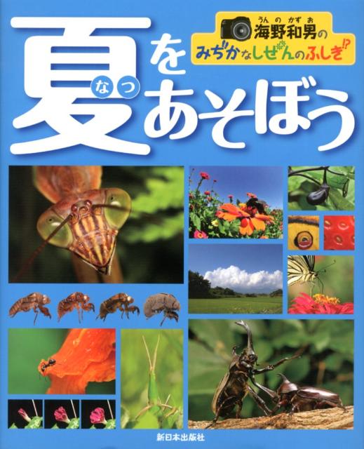 夏をあそぼう