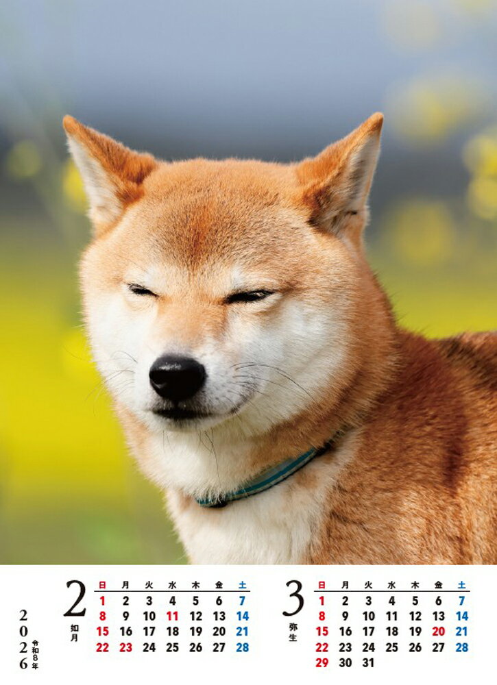 【S3】 2026 いつでも柴犬カレンダー 卓...の紹介画像2