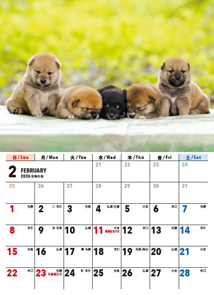 【S3】 2026 いつでも柴犬カレンダー 卓...の紹介画像3