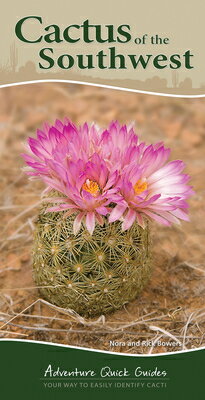 Cactus of the Southwest: Your Way to Easily Identify Cacti