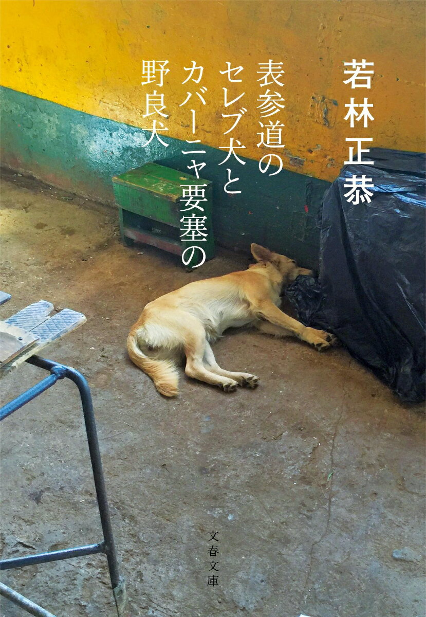 表参道のセレブ犬とカバーニャ要塞