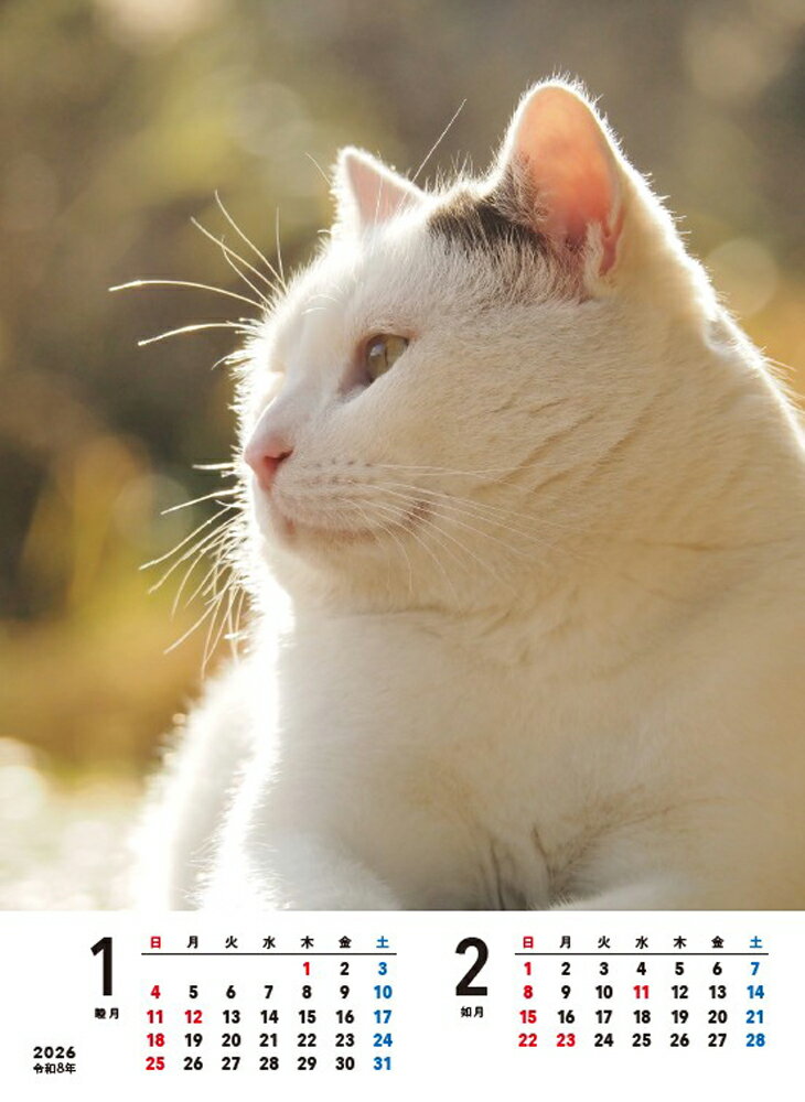 【S4】 2026 気ままねこさまカレンダー ...の紹介画像2