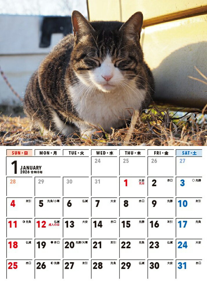 【S4】 2026 気ままねこさまカレンダー ...の紹介画像3