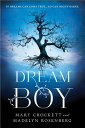 Dream Boy [ Madelyn Rosenberg ]