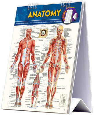 Anatomy Easel Book: A Quickstudy Reference Tool ANATOMY EASEL BK [ Vincent Perez ]